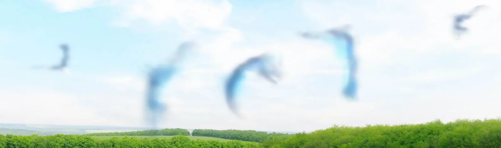 Blurry floaters drifting across a view of a blue sky over green fields — banner photo from the current flashes and floaters page